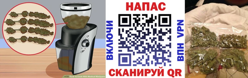 где продают   Кинель  Cannafood конопля 