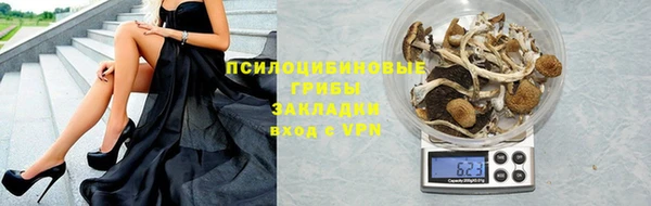 трава Богданович